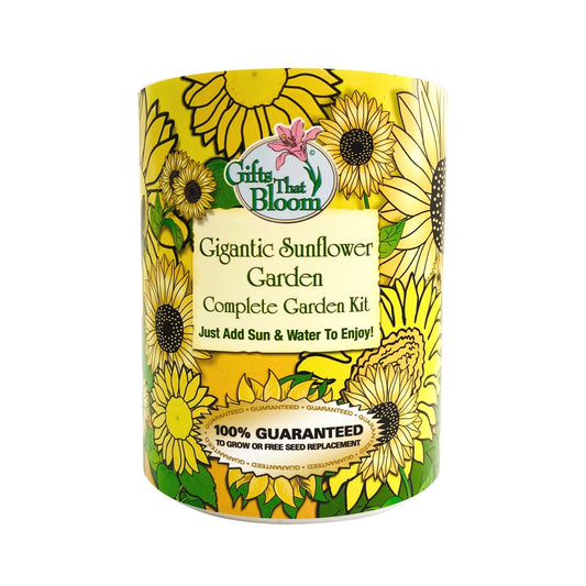 Gigantic Sunflower Garden Grocan Seed Kit