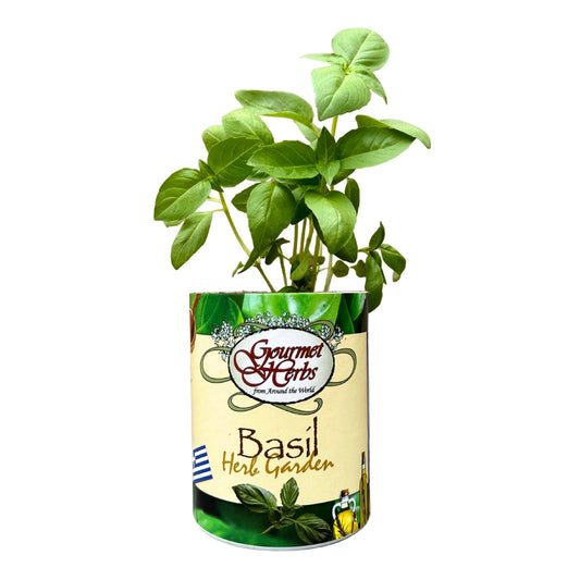 Basil Herb Garden Grocan Seed Kit