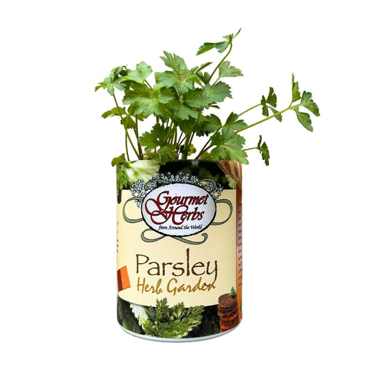 Parsley Herb Garden Grocan Seed Kit