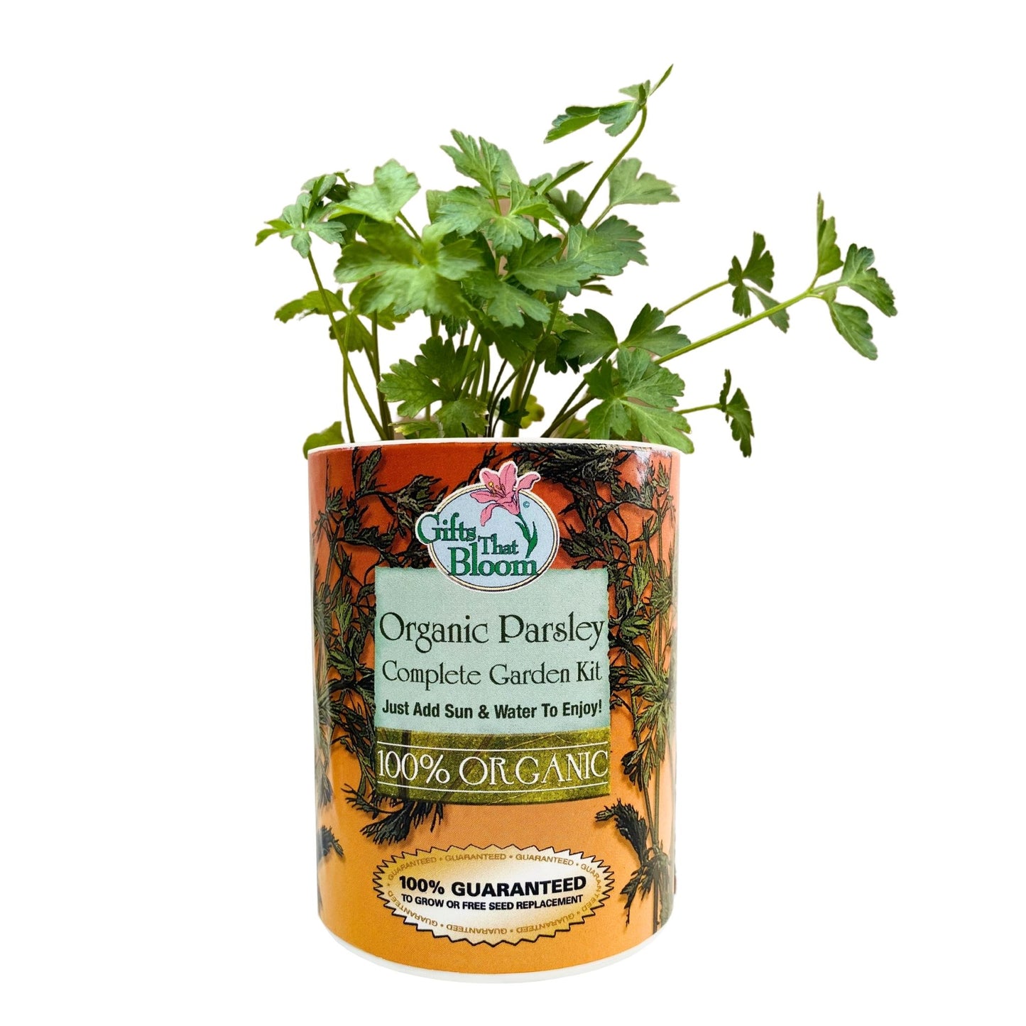 Organic Parsley Herb Garden Grocan Seed Kit