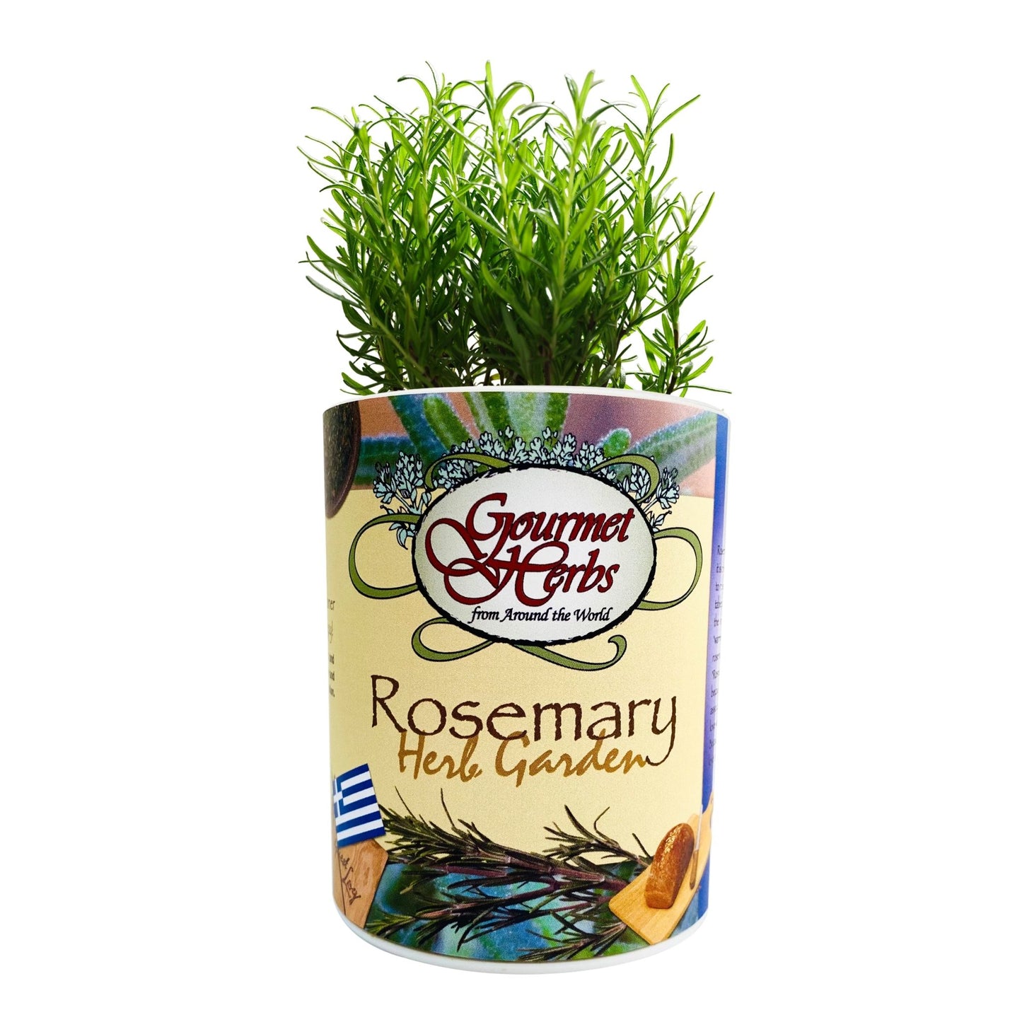 Rosemary Herb Garden Grocan Seed Kit