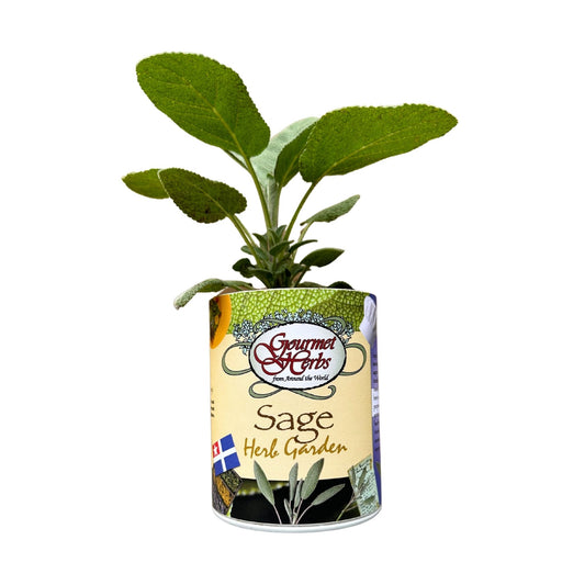 Sage Herb Garden Grocan Seed Kit
