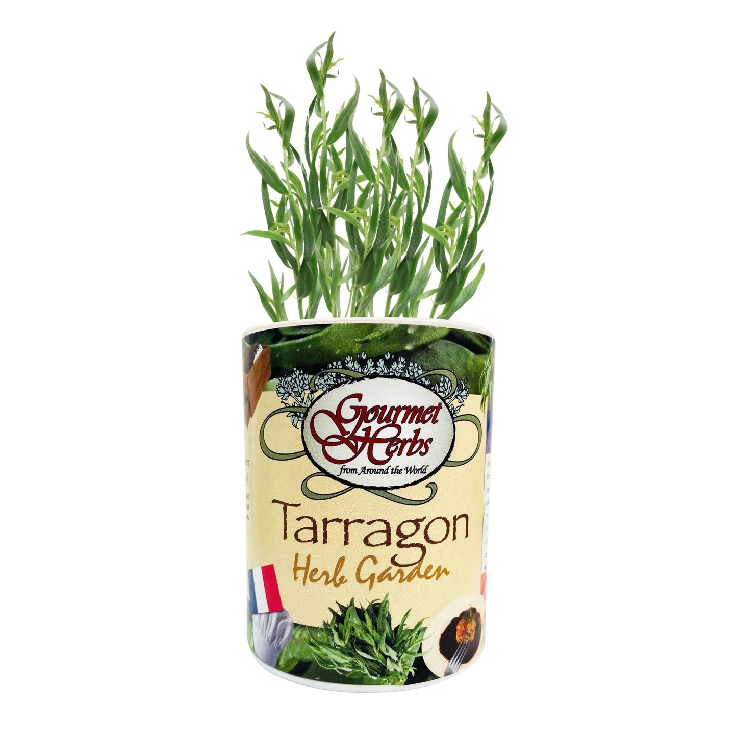 Tarragon Herb Garden Grocan Seed Kit