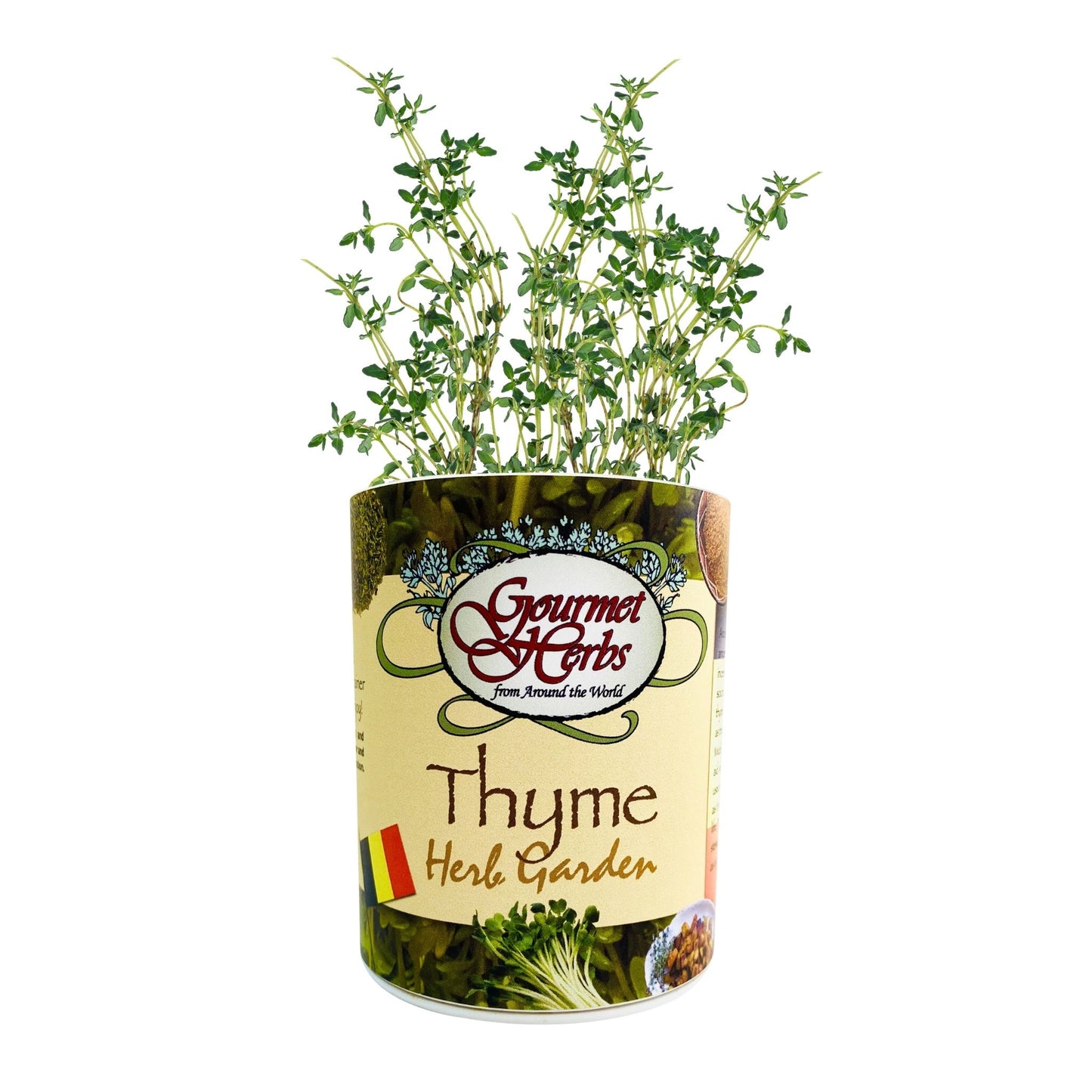 Thyme Herb Garden Grocan Seed Kit