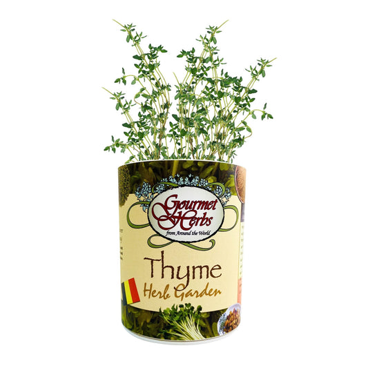 Thyme Herb Garden Grocan Seed Kit