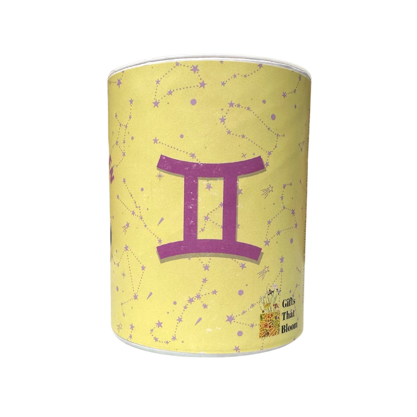 Gemini Zodiac Garden Grocan Seed Kit