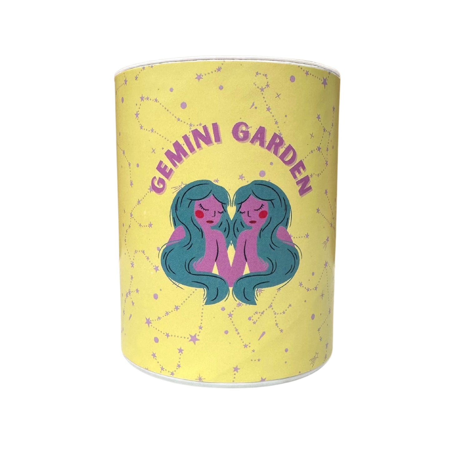 Gemini Zodiac Garden Grocan Seed Kit