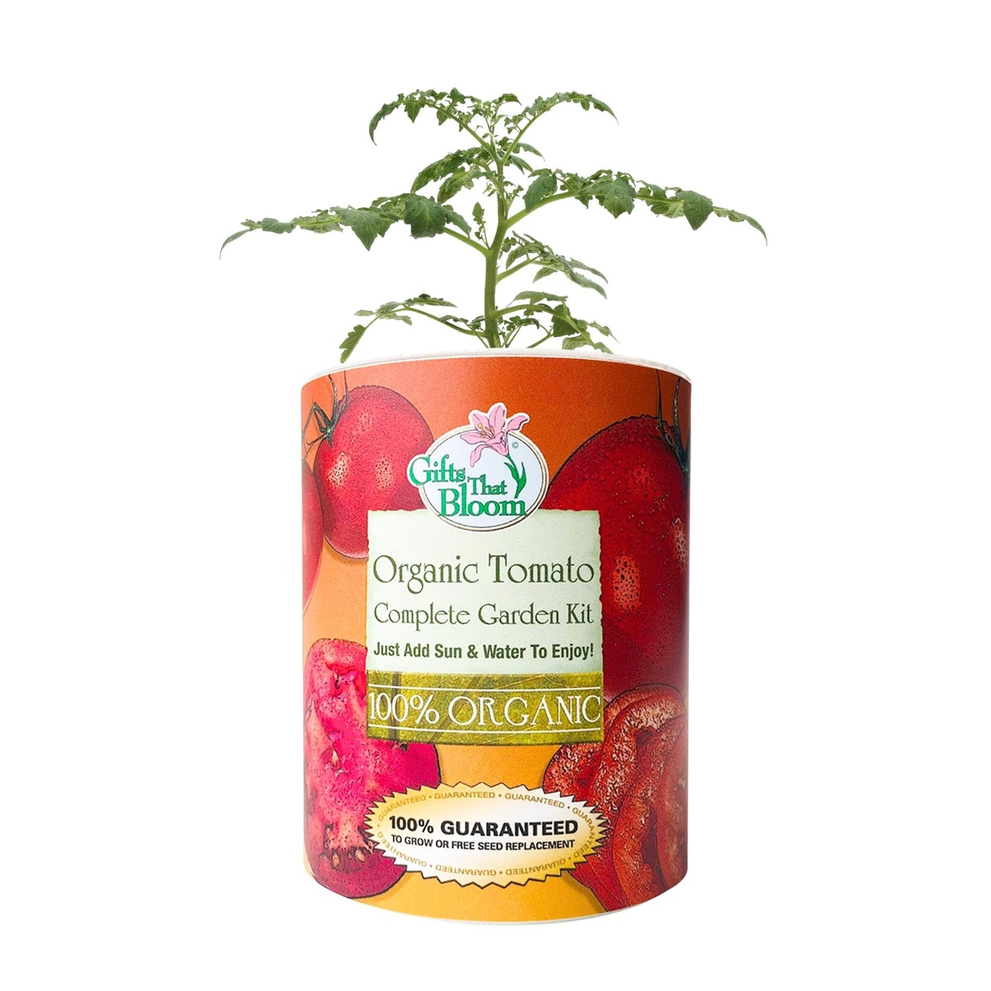 Organic Tomato Garden Grocan Seed Kit