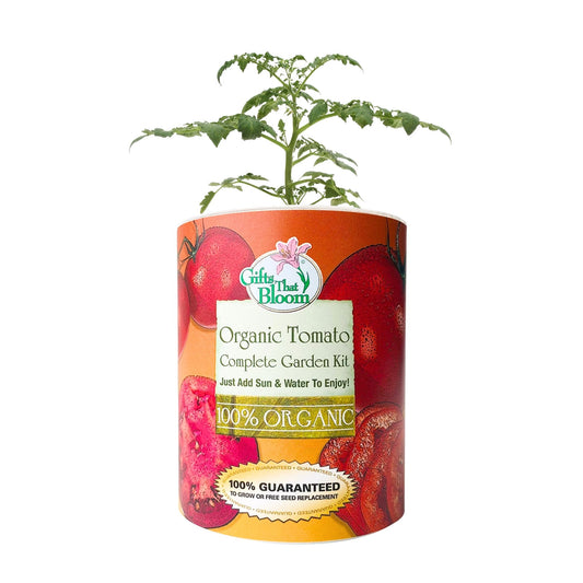 Organic Tomato Garden Grocan Seed Kit