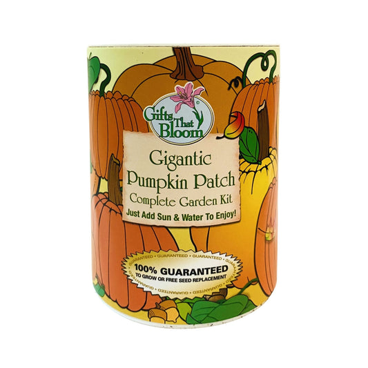 Gigantic Pumpkin Patch Garden Grocan Seed Kit