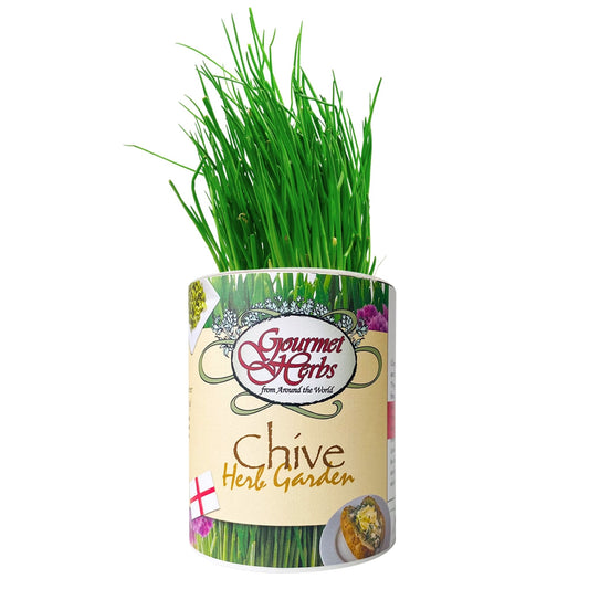 Chive Herb Garden Grocan Seed Kit