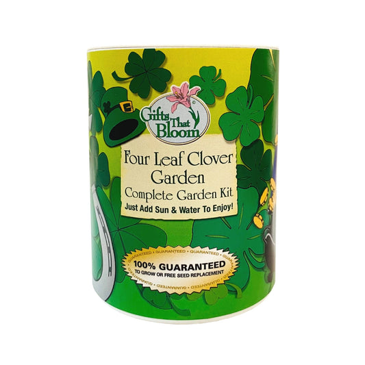 Four Leaf Clover Garden Grocan seed kit