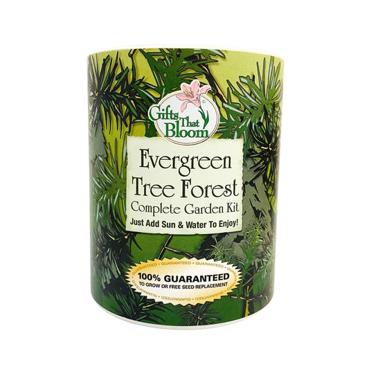 Evergreen Tree Forest Garden Grocan Seed Kit
