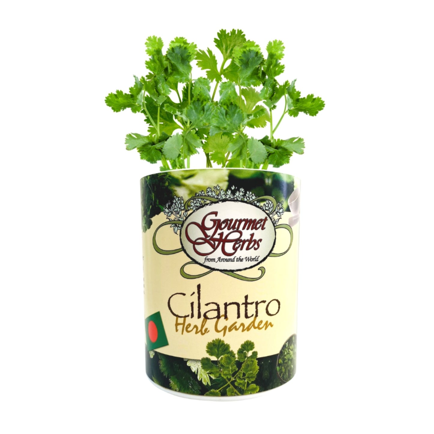 Cilantro Herb Garden Grocan Seed Kit