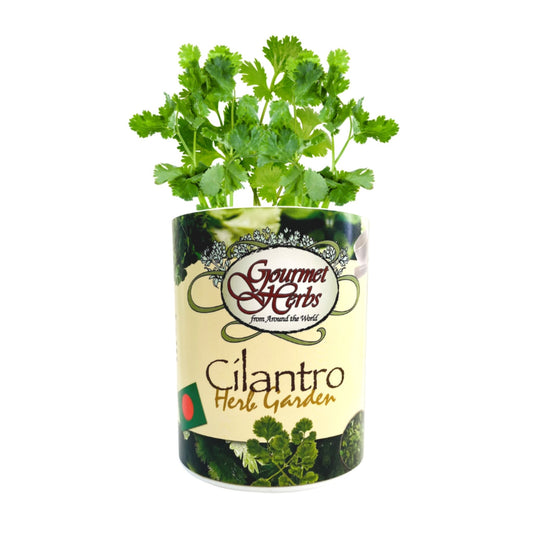 Cilantro Herb Garden Grocan Seed Kit