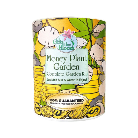 Money Plant Garden Grocan Seed Kit