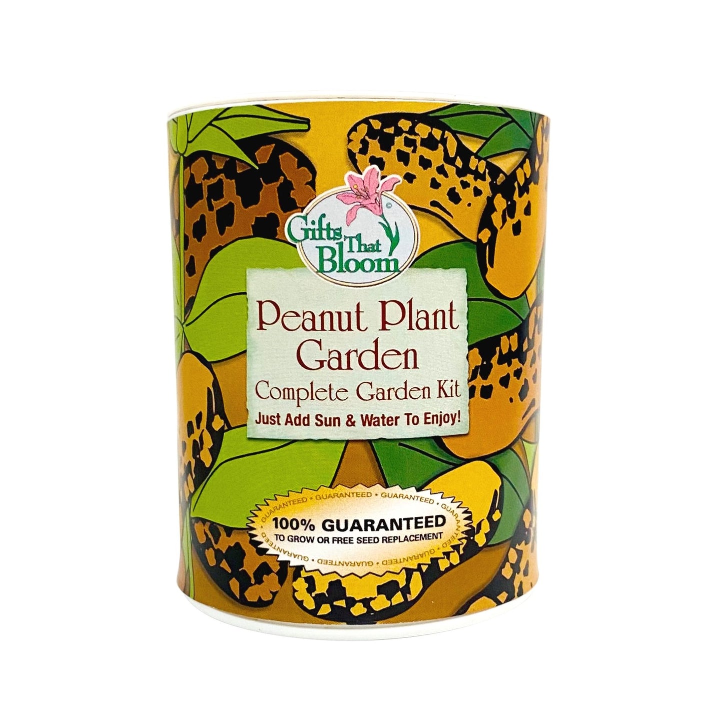 Peanut Plant Garden Grocan Seed Kit