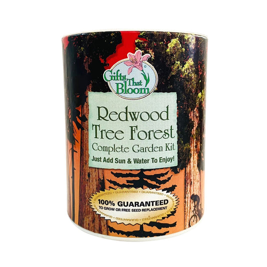 Redwood Tree Forest Garden Grocan Seed Kit