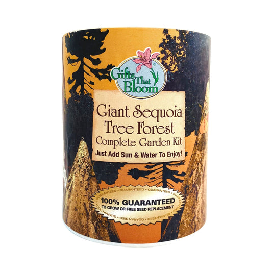 Giant Sequoia Tree Garden Grocan Seed Kit