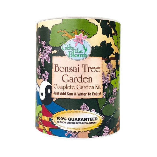 Bonsai Tree Garden Grocan Seed kit