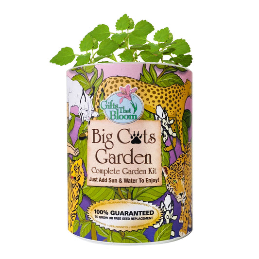 Big Cats Garden Grocan Seed KIt