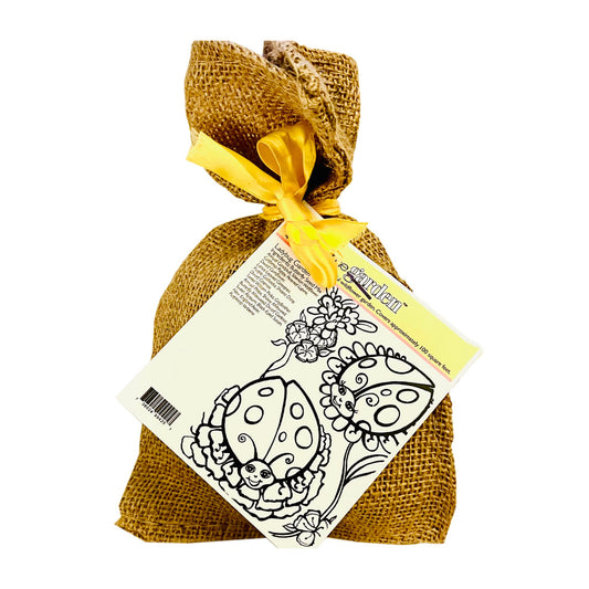 Lady Bug  Color-Me-Garden Seed Kit in Burlap Bag