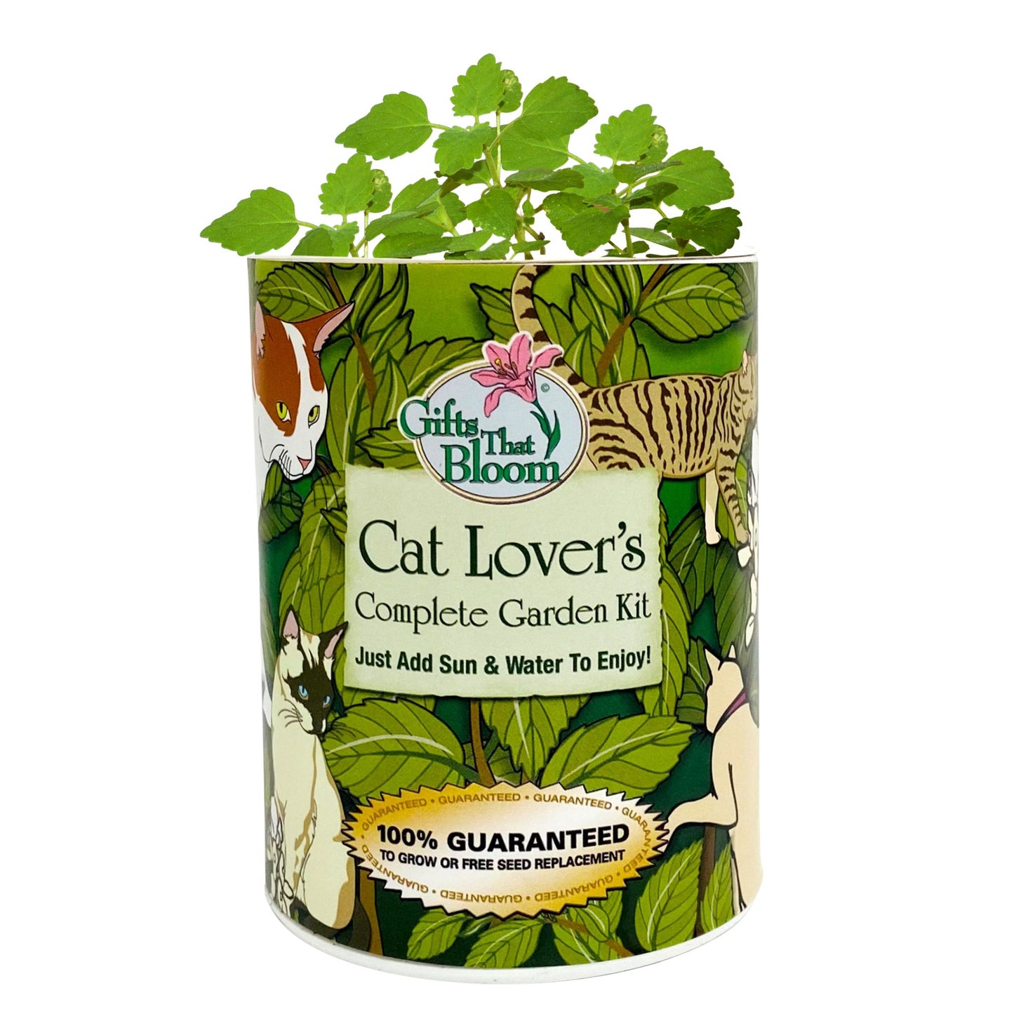 Cat Lover's Garden Grocan Seed Kit