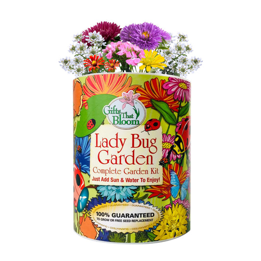 Lady Bug Garden Grocan Seed Kit