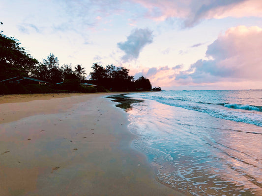 5 Ways to Celebrate Earth Day 2025 and Make a Positive Impact on the Environment