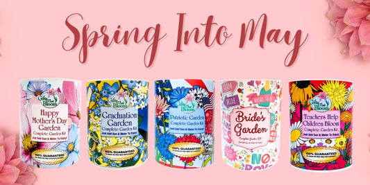 Spring into May Celebrations with Flowers from Gifts That Bloom!