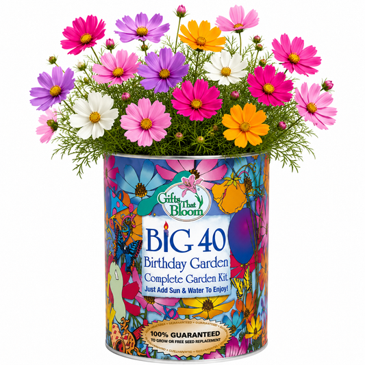 Big 40 Birthday Garden Grocan Seed Kit