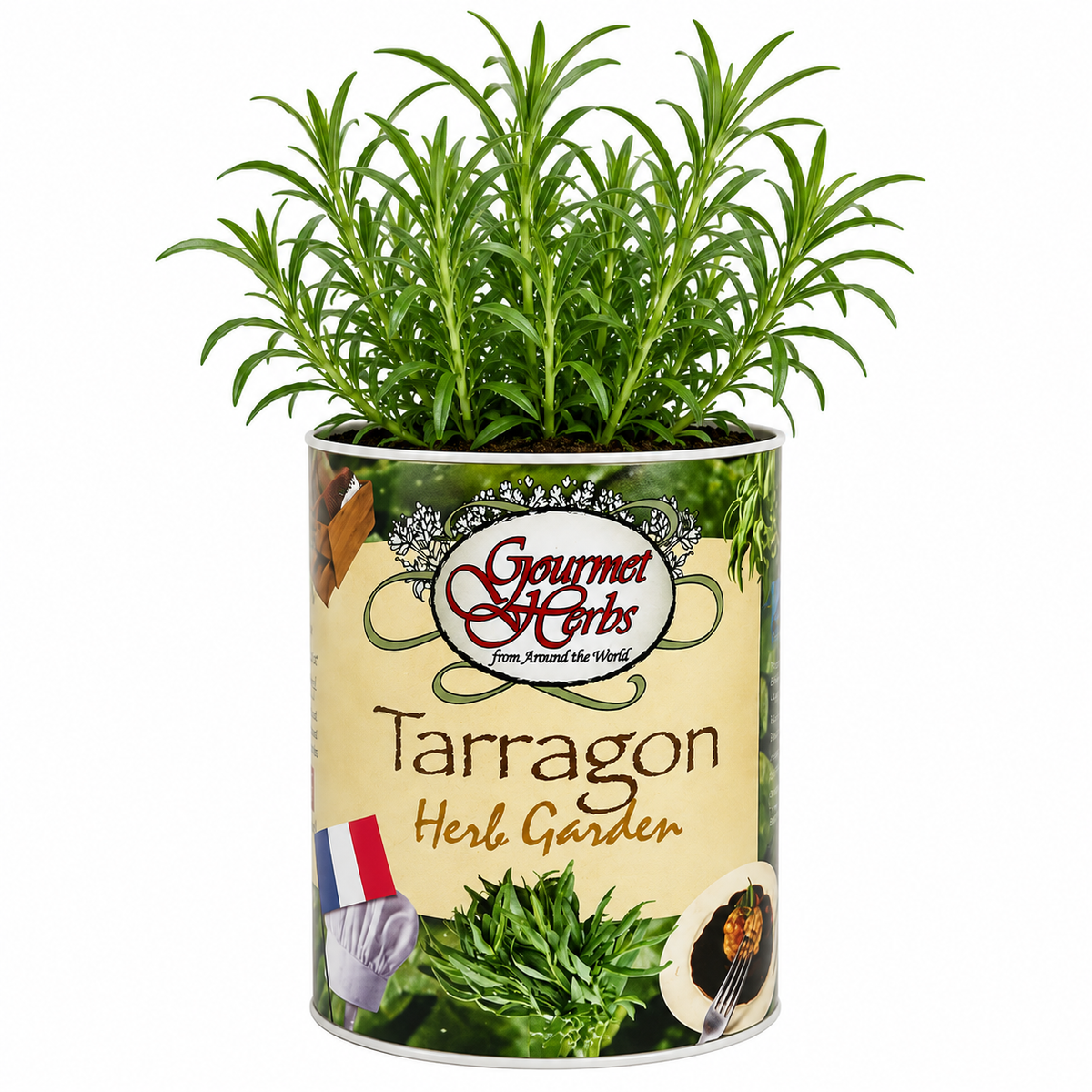 Tarragon Herb Garden Grocan Seed Kit