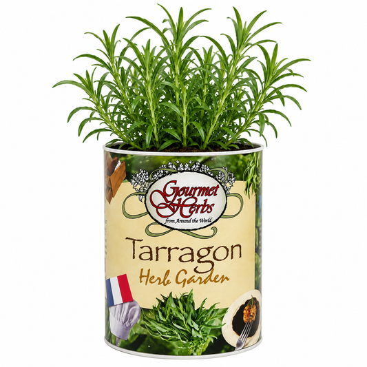 Tarragon Herb Garden Grocan Seed Kit