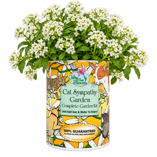 Cat Sympathy Garden Grocan Seed Kit