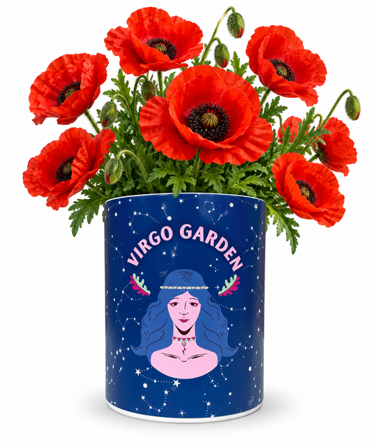 Virgo Zodiac Garden Grocan Seed Kit