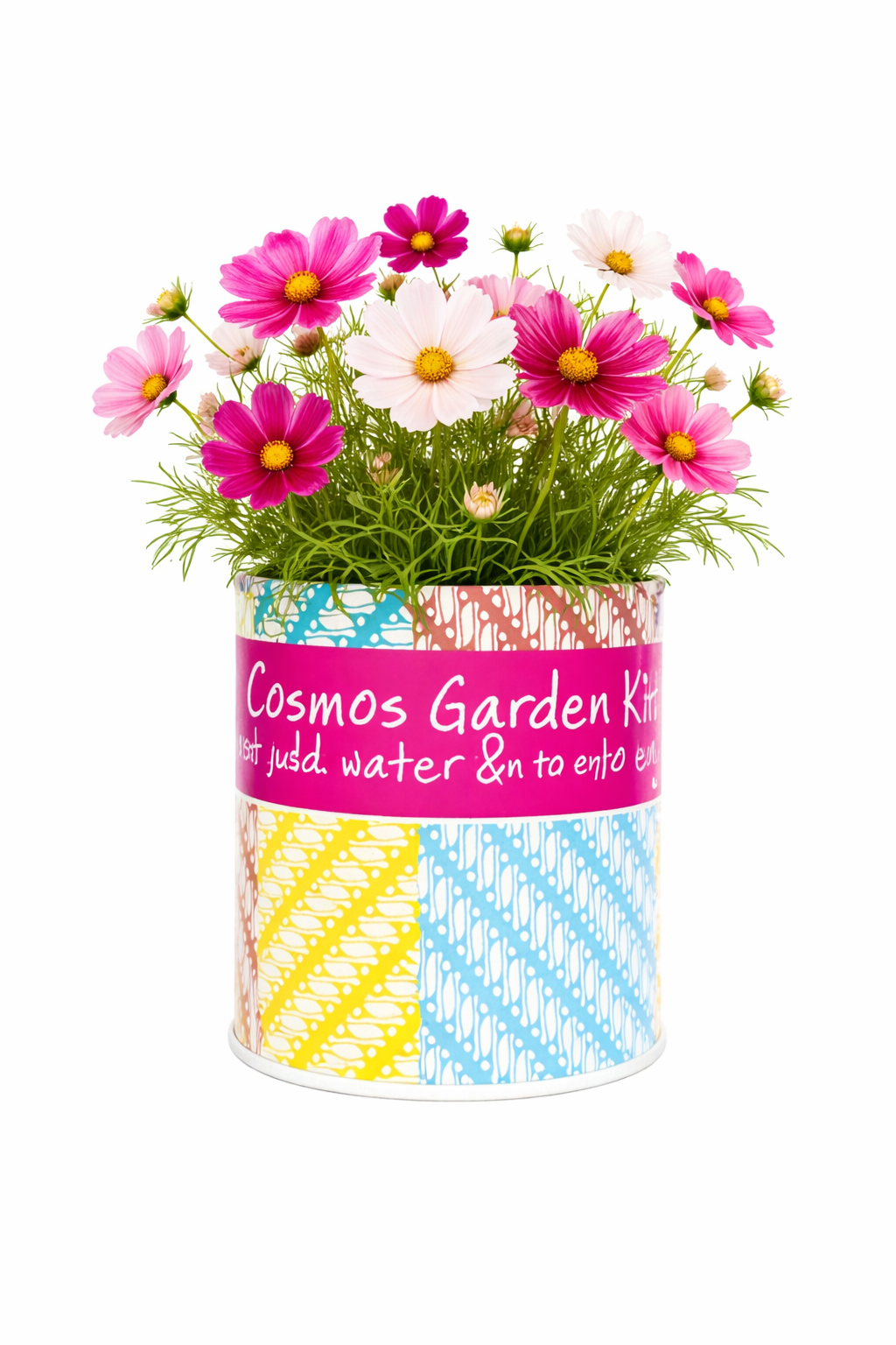 Cosmos Garden Grocan Seed Kit