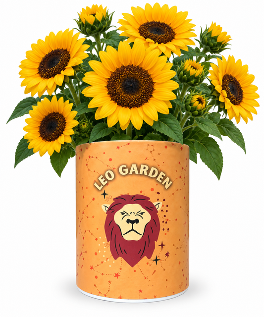 Leo Zodiac Garden Grocan Seed Kit