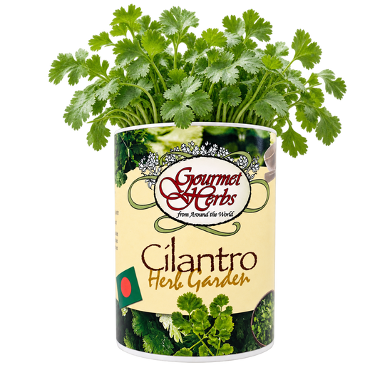 Cilantro Herb Garden Grocan Seed Kit