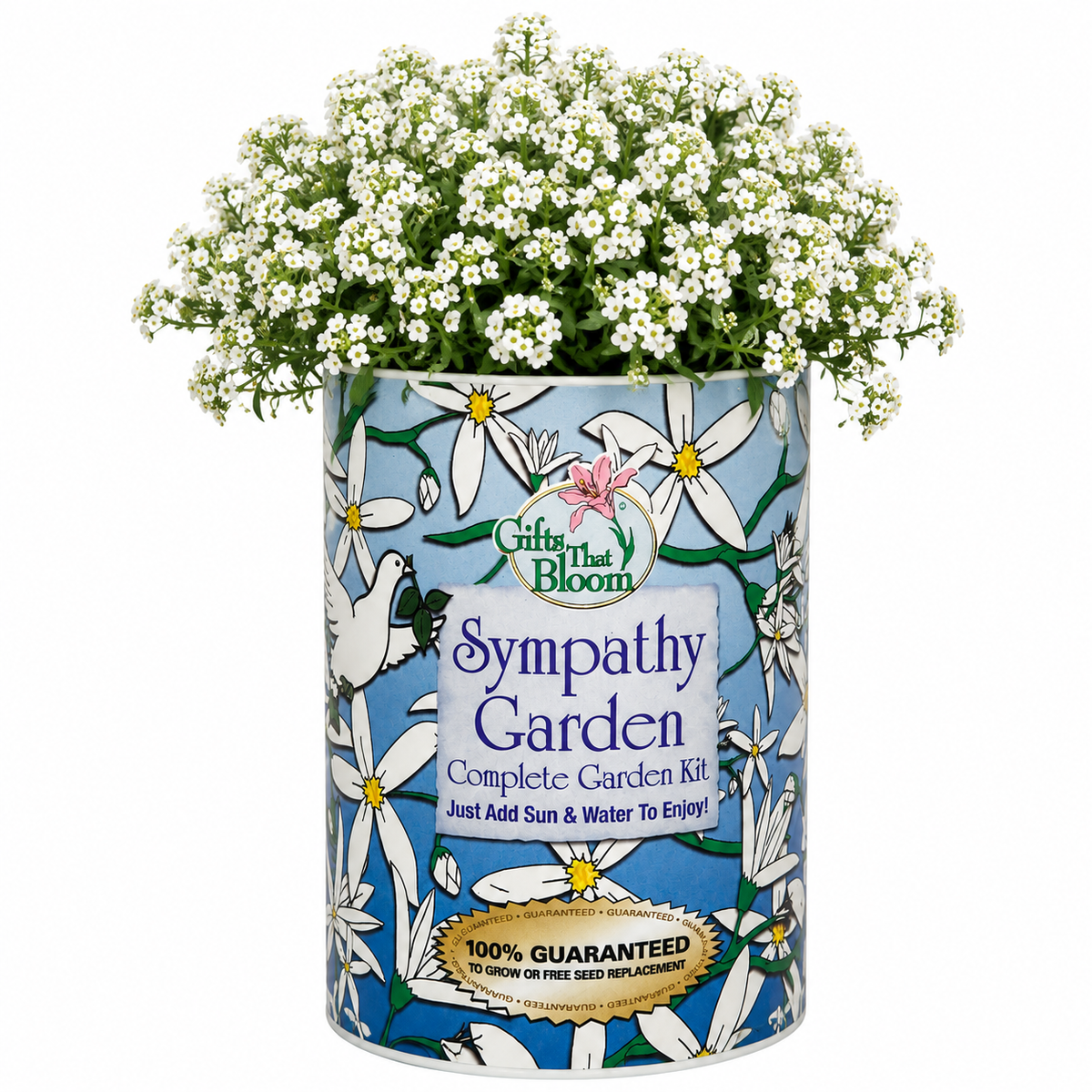 Sympathy Garden Grocan Seed Kit