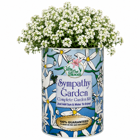 Sympathy Garden Grocan Seed Kit
