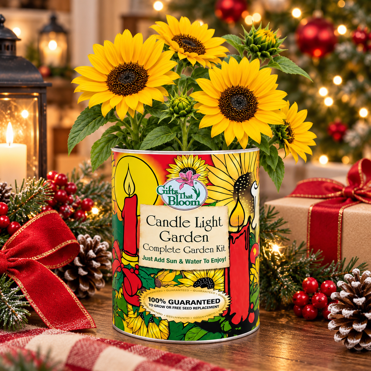 Candle Light Garden Grocan Seed kit
