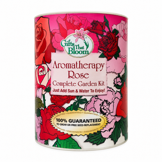 Aromatherapy Rose Garden Grocan Seed Kit