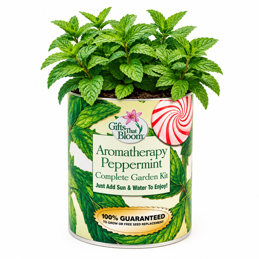 Aromatherapy Peppermint Garden Grocan Seed Kit