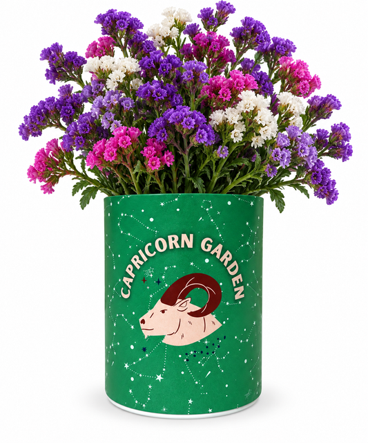 Capricorn Zodiac Garden Grocan Seed Kit