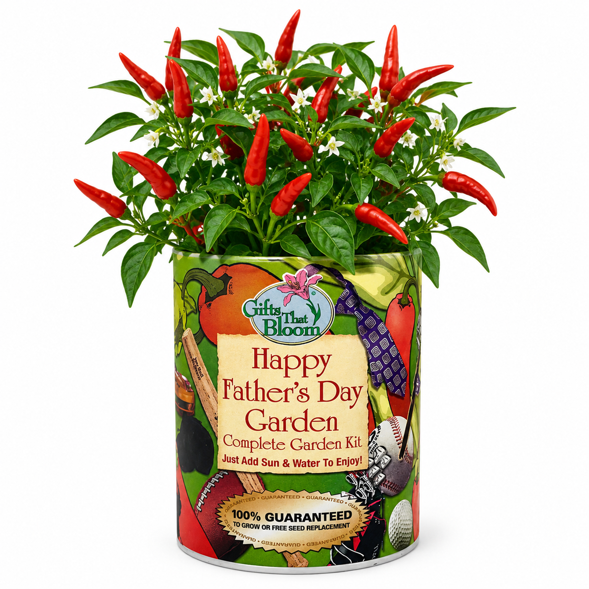 Happy Father's Day Garden Grocan Seed Kit