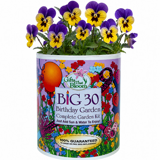 Big 30 Birthday  Garden Grocan Seed Kit