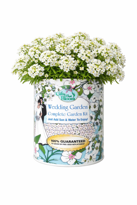 Wedding Garden Grocan Seed Kit
