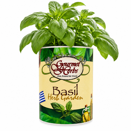 Basil Herb Garden Grocan Seed Kit