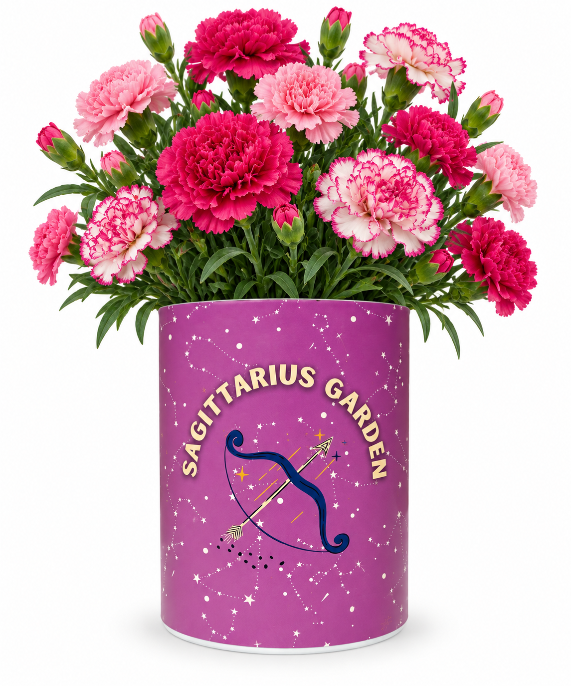 Sagittarius Zodiac Garden Grocan Seed Kit