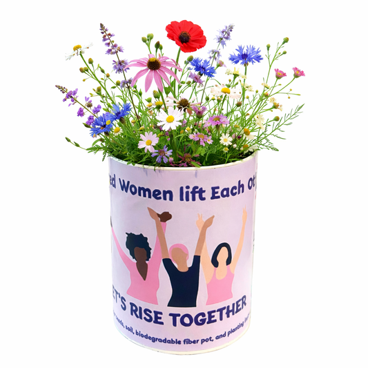 Empowered Women Lift Each Other Up - Let's Rise Together Grocan Seed Kit